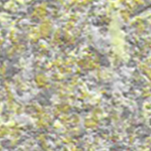 Swatch image