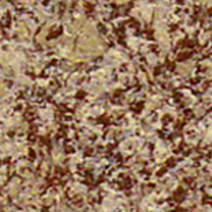 Swatch image