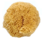 Pavan Губка морская натуральная для декоративной штукатурки